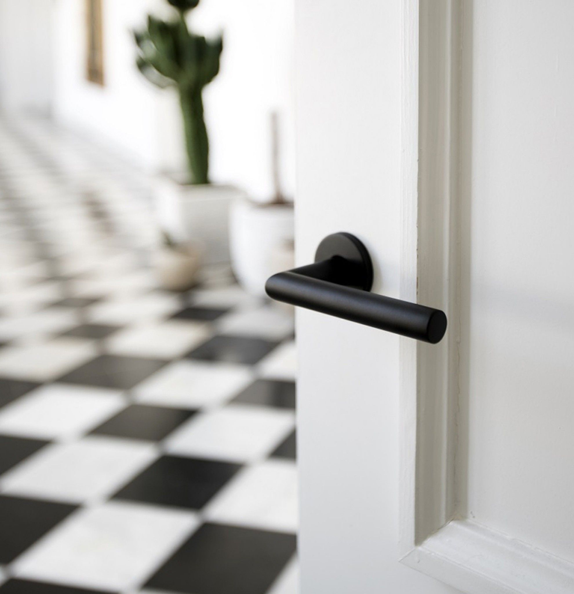 FORMANI - SERIE BASICS